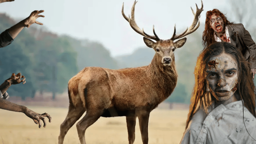 Enfermedad del venado zombie llena de terror Estados Unidos