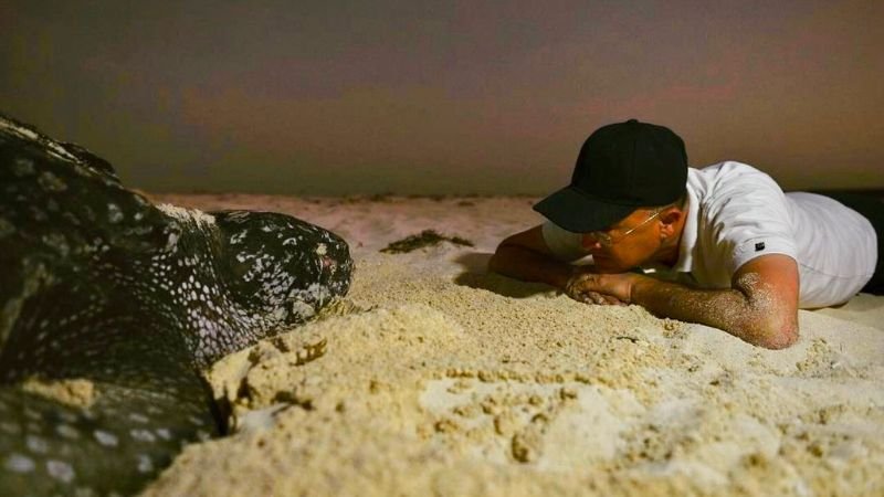 Francisco Domínguez Brito hace un llamado urgente a proteger el medio ambiente en el Día Mundial del Medio Ambiente