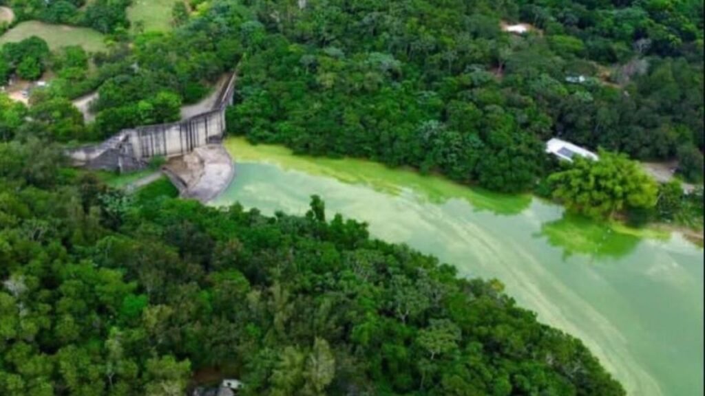 Barrick Gold señalada por posible vínculo con contaminación en la Presa de Hatillo