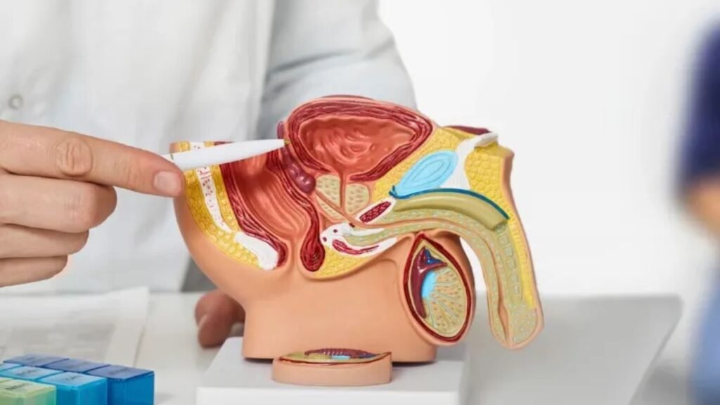 Eyacular 21 veces al mes podría disminuir el riesgo de cáncer de próstata, revela investigación científica