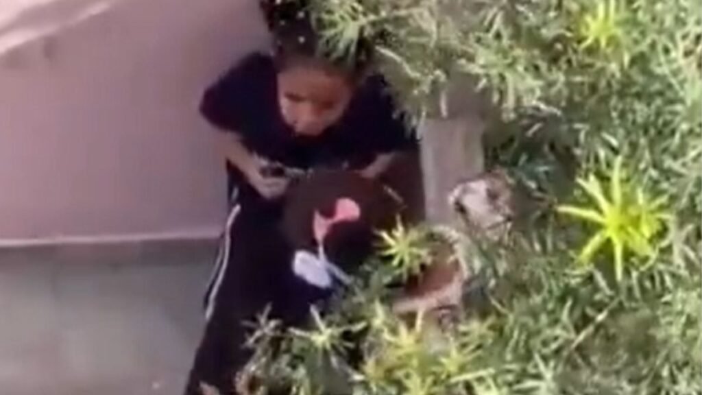 Video muestra maltrato de profesora a niña en guardería del ensanche Ozama