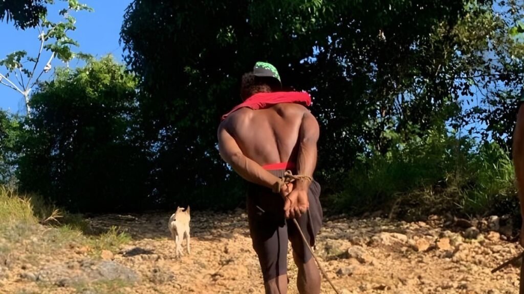 Video Comunitarios retienen y amarran a presunto ladrón de yautías en Sabana Grande de Boyá