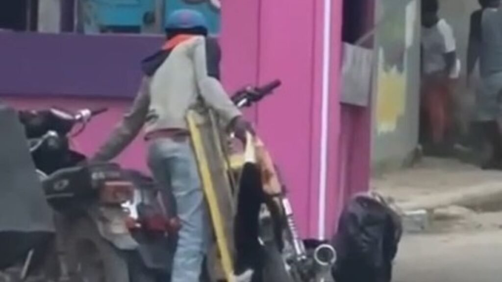 (Video) presunto haitiano que habría matado un gato para comérselo