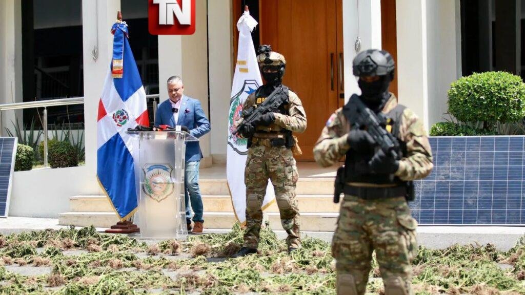 Autoridades intervienen siembra de más de 15 mil plantas de marihuana en San José de Ocoa