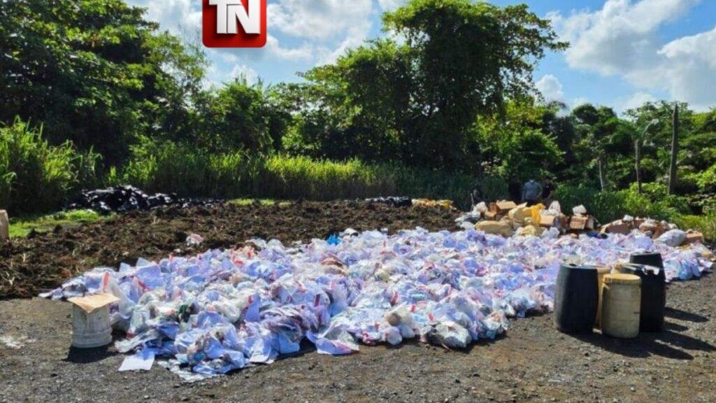 Inacif destruye más de 3 toneladas de drogas en amplio operativo contra el narcotráfico