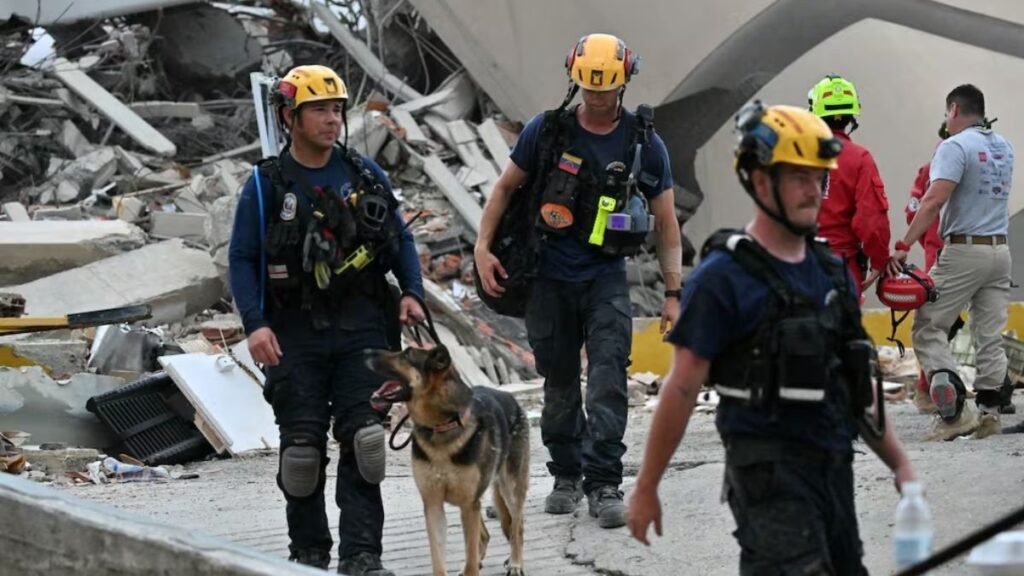 Perros rescatistas, aliados fundamentales en la búsqueda de sobrevivientes tras los terremotos en Venezuela