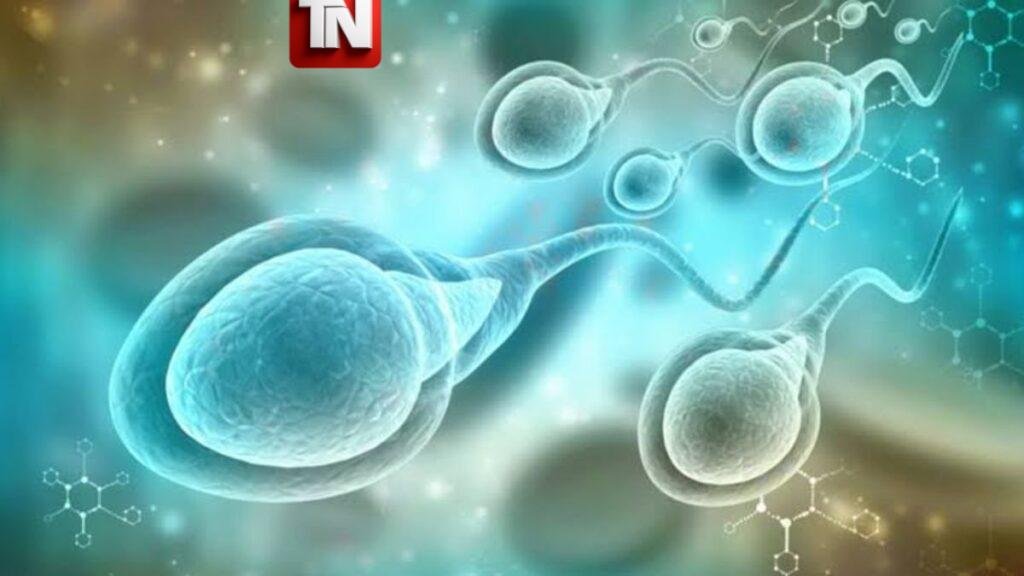 Especialistas advierten que la infertilidad masculina continúa siendo una realidad poco diagnosticada y rodeada de estigmas