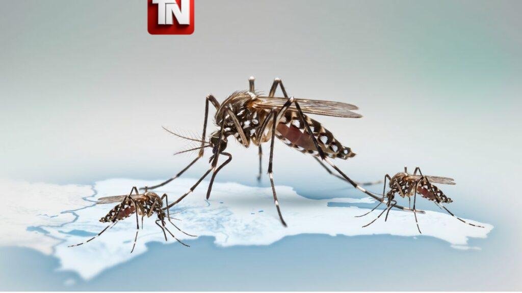 Dengue alcanza 213 casos en República Dominicana tras reportarse 11 nuevos contagios